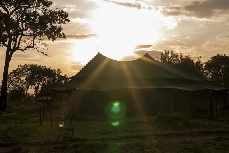 Safari tent at sunset