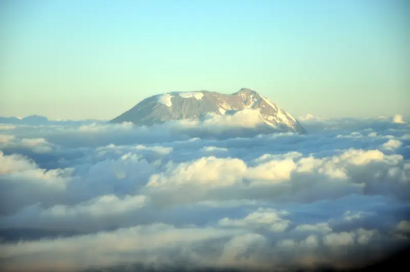 Kilimanjaro's summit above a sea of clouds
