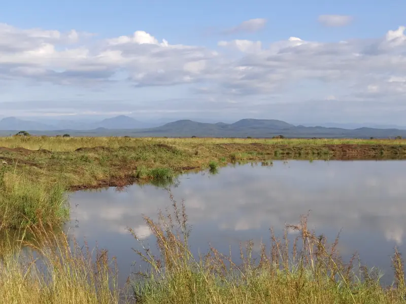 Waterhole on the Mkata floodplain in Mikumi