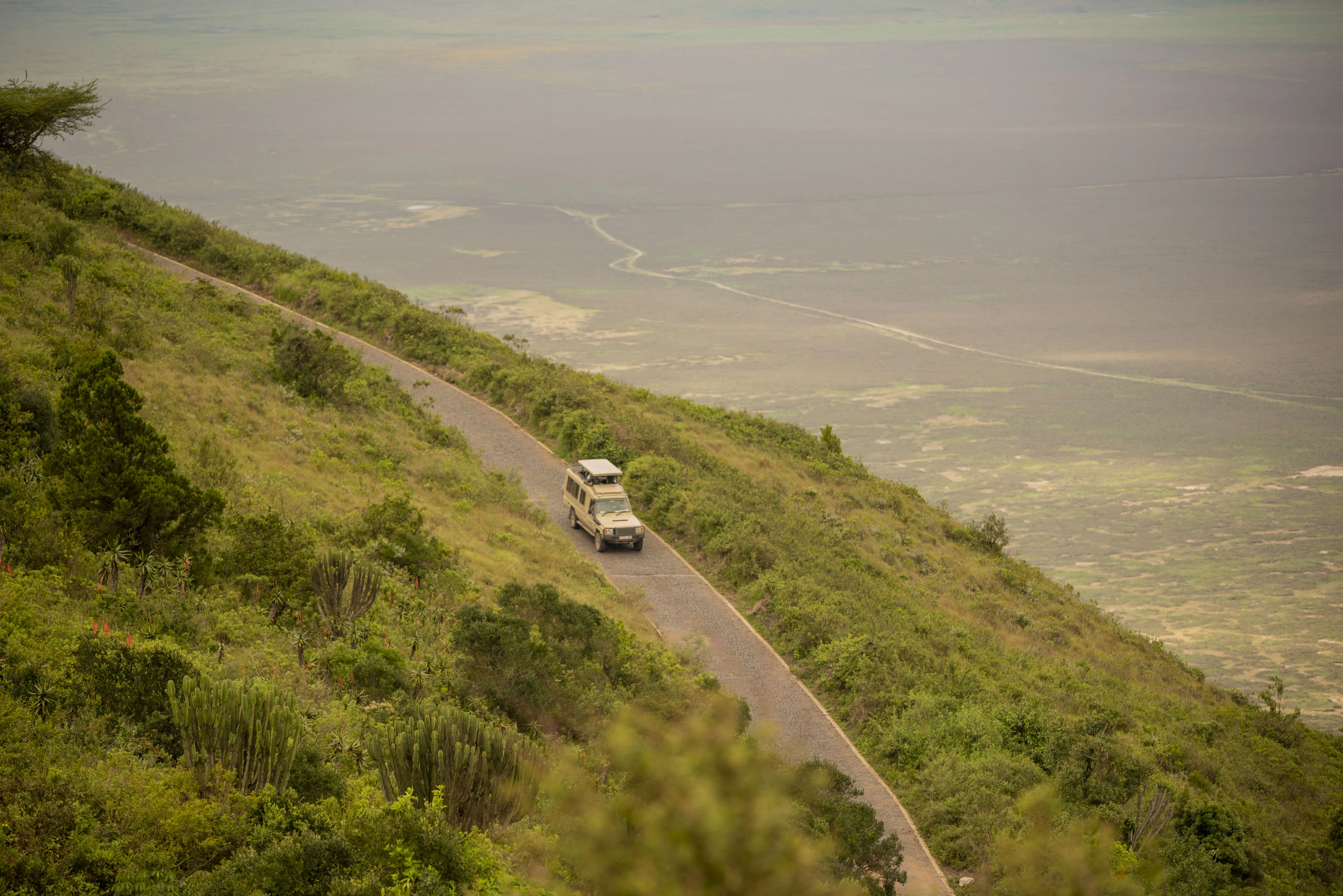 Ngorongoro