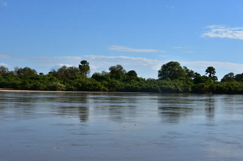 The Rufiji River in Nyerere National Park