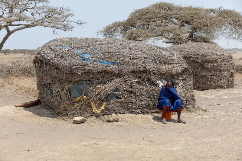 Traditional Maasai houses in a boma