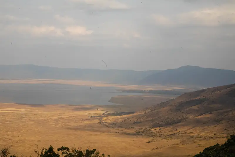 Ngorongoro