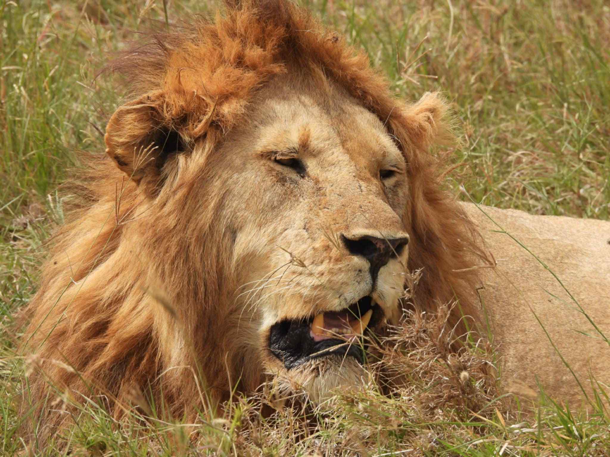 14 Days Safari and Zanzibar