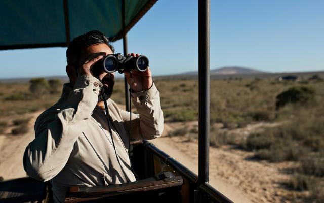 Why Take Binoculars On Safari And Which Ones?