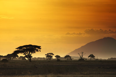 7 Days Tanzania Camping Safari