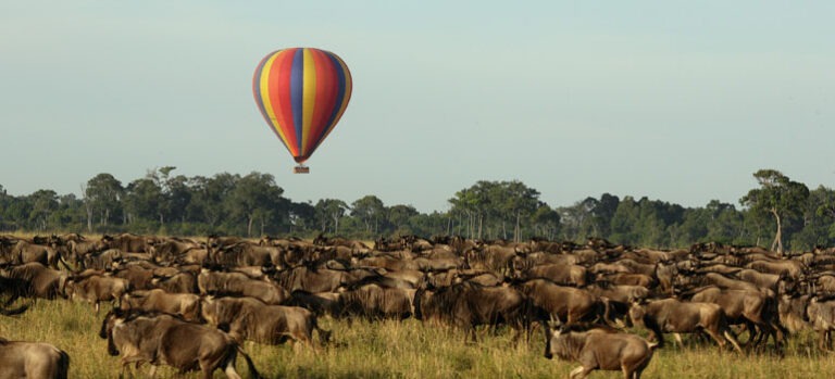 Hot Air Balloon flights in Serengeti National Park