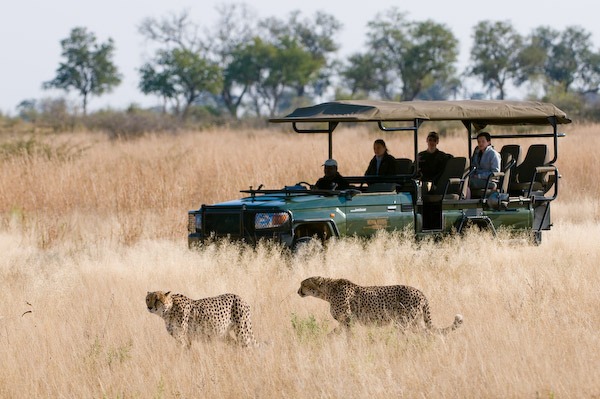 Safe and Secure Tanzania Safari Holiday