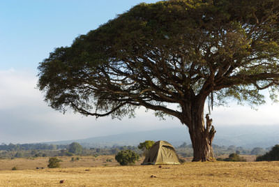 5 Days Tanzania Budget Safari