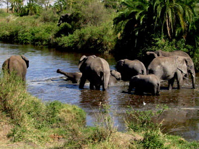 Ngorongoro Crater and Lake Manyara 3 Days