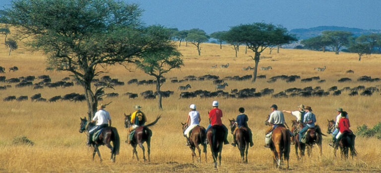 Horse Riding Safaris in East Africa