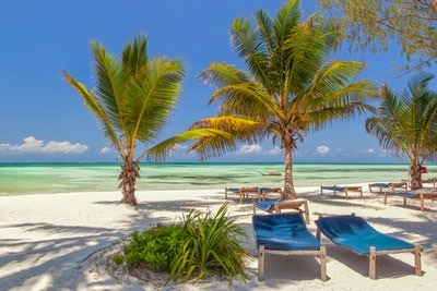 11 Days Honeymoon Safari & Zanzibar