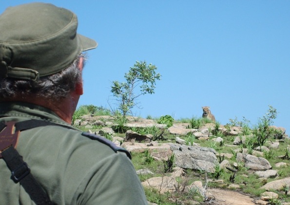 Walking Safari in Tanzania