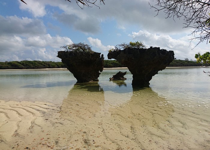 Ultimate Guide to Zanzibar | Everything You Need to Know