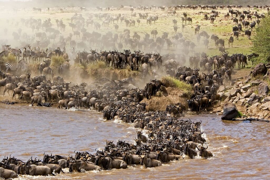 Tanzania is unsurpassed for its magnificent scenery and wildlife experience.