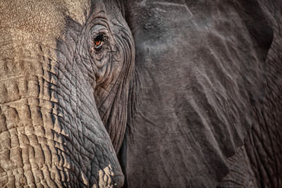 13 Days Tanzania Sababu Safari