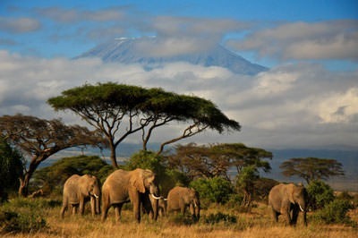 14 Days Tanzania Easy Safari