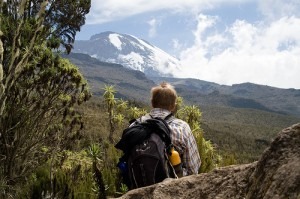 Do you need specific insurance for safari in Tanzania?