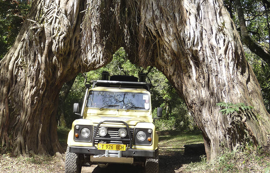 Self Drive Tanzania Safari