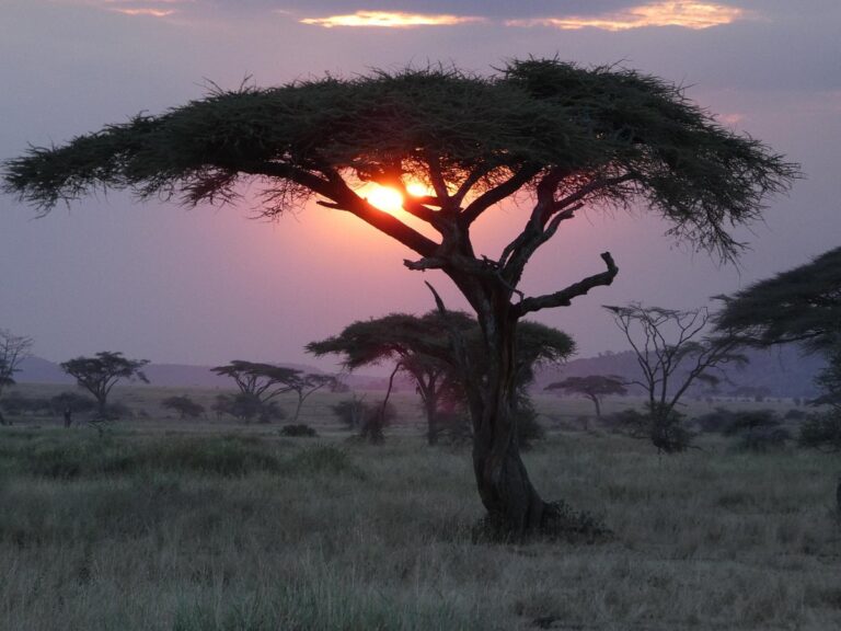 Tanzania's Northern Safari Circuit Parks & Reserves