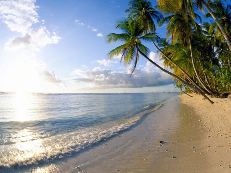 Tanzania's Swahili Coast - Everything you need to know