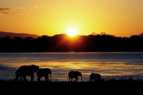 Travel to Kenya. Kenya Travel Guide and Recommendations