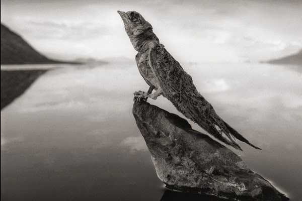 Lake Natron, the Gate to Hell