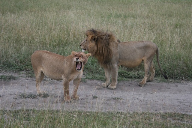 Important Tips to Know Before Traveling to Tanzania