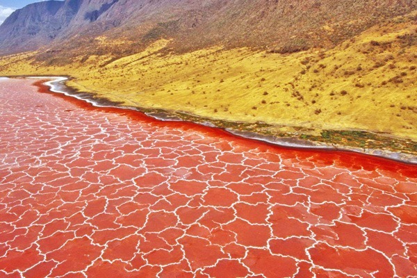 Lake Natron, the Gate to Hell