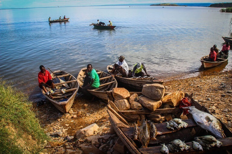 Excursion to Lake Tanganyika in Tanzania