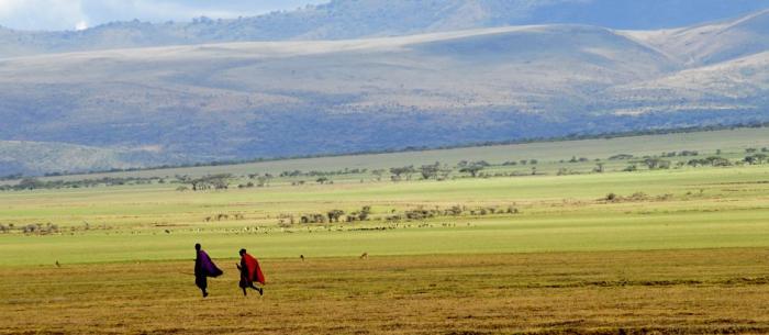 How can I perfectly plan for my Tanzania Safari Holiday?