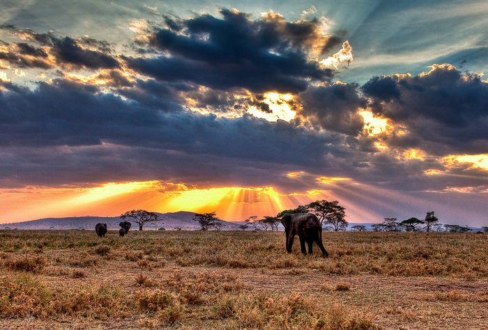 Travel to Tanzania During December Holidays