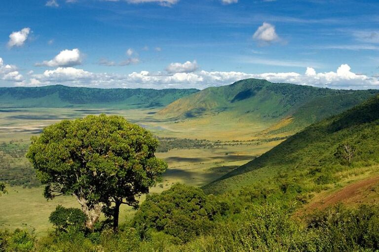 How can I perfectly plan for my Tanzania Safari Holiday?