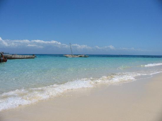 Tanzania Kiwengwa Zanzibar in Zanzibar Island