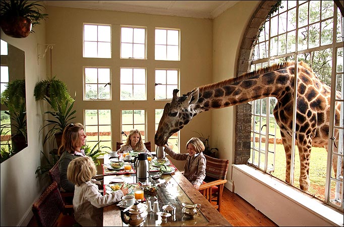 The Giraffe Manor in Nairobi