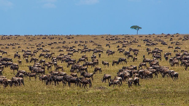 What type of weather is in Tanzania?