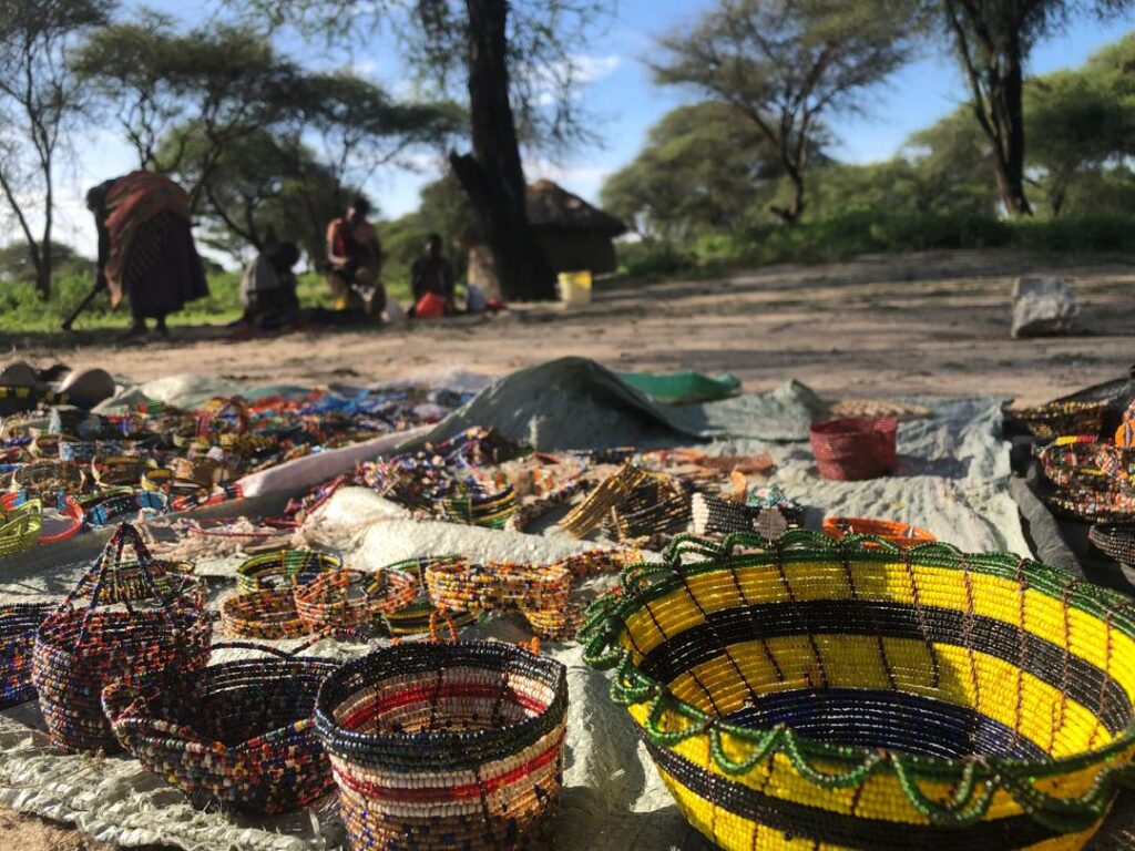 Serengeti, Ngorongoro and Culture experience