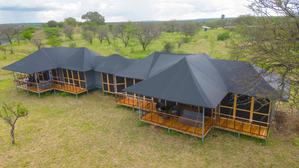 The Serengeti National Park Safari in Tanzania