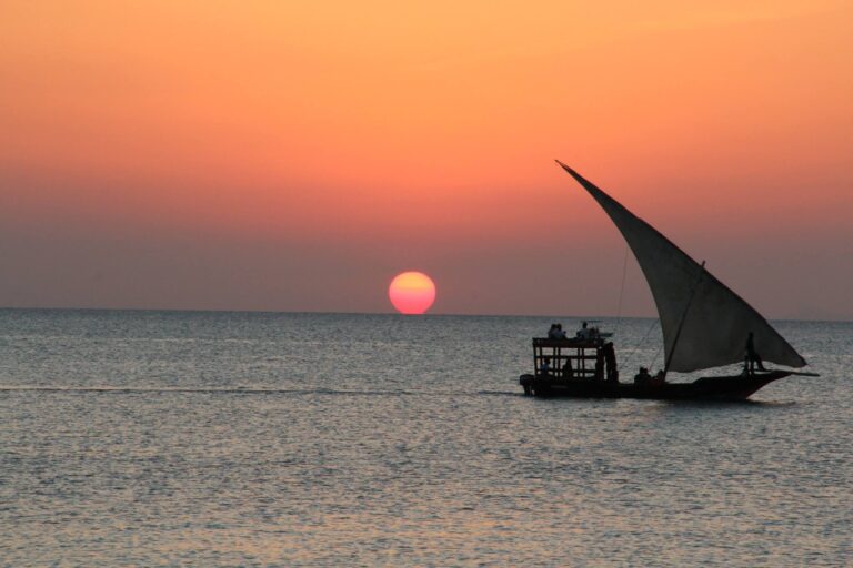 Zanzibar's Pristine Zanzibares and Historic Stone Town
