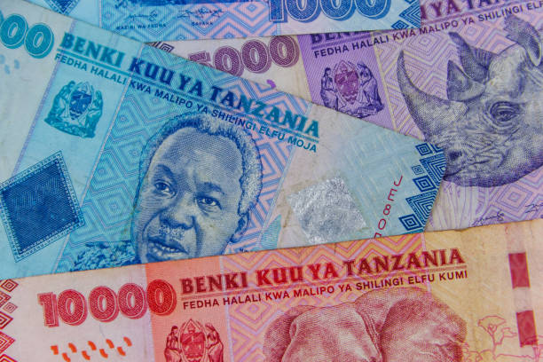 Guide to Money and Bargaining While Traveling in Tanzania