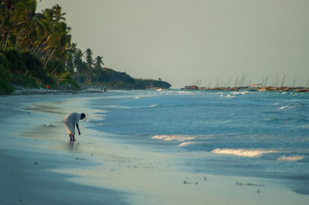 Excursions and Activities to Do in Zanzibar