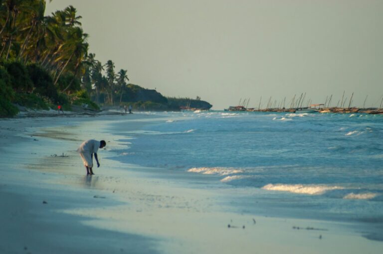 Excursions and Activities to Do in Zanzibar