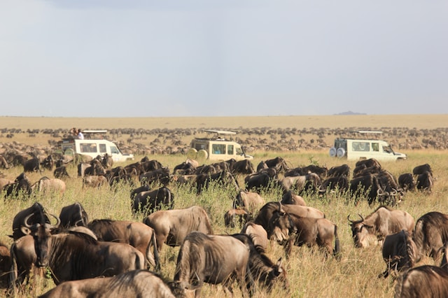 Best Places To Visit In Tanzania For An Adventurous