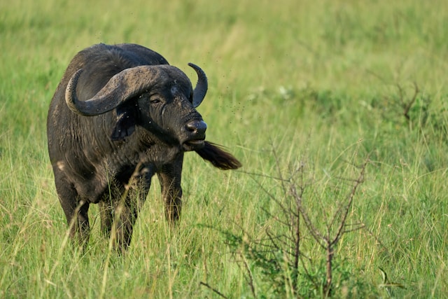 Best Places To Visit In Tanzania For An Adventurous