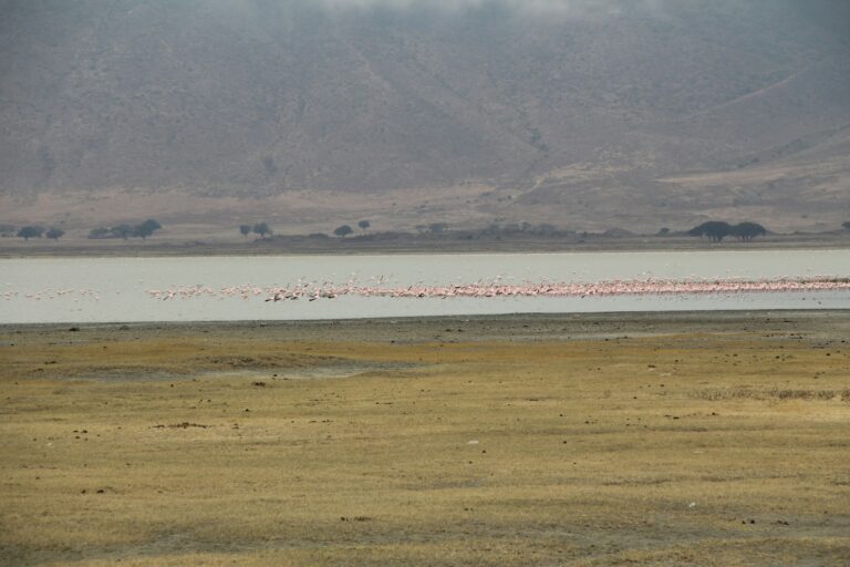 Travel to the Ngorongoro Crater in Tanzania