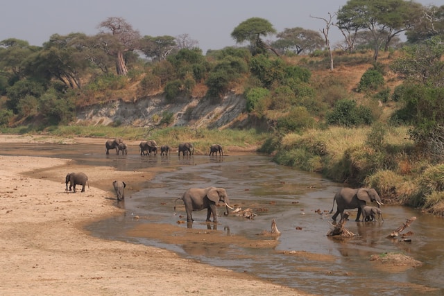 3 Days Safari With Manyara, Tarangire and Ngorongoro Crater