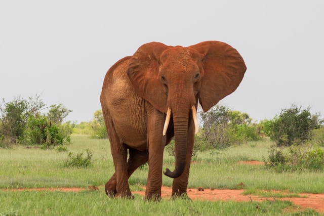 Kenya’s Greatest Unexplored Wilderness