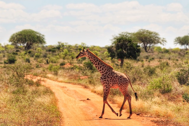 Kenya’s Greatest Unexplored Wilderness