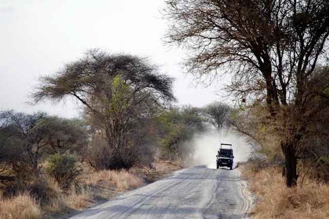 2 Days Safari With Lake Manyara and Tarangire National Park