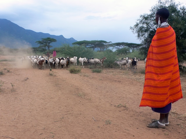 Specialist Safari Trips to Eastern and Southern Africa